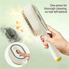 5 in 1 Rechargeable Hair Straightener Brush with Detangling Comb | Cordless Hair Styler